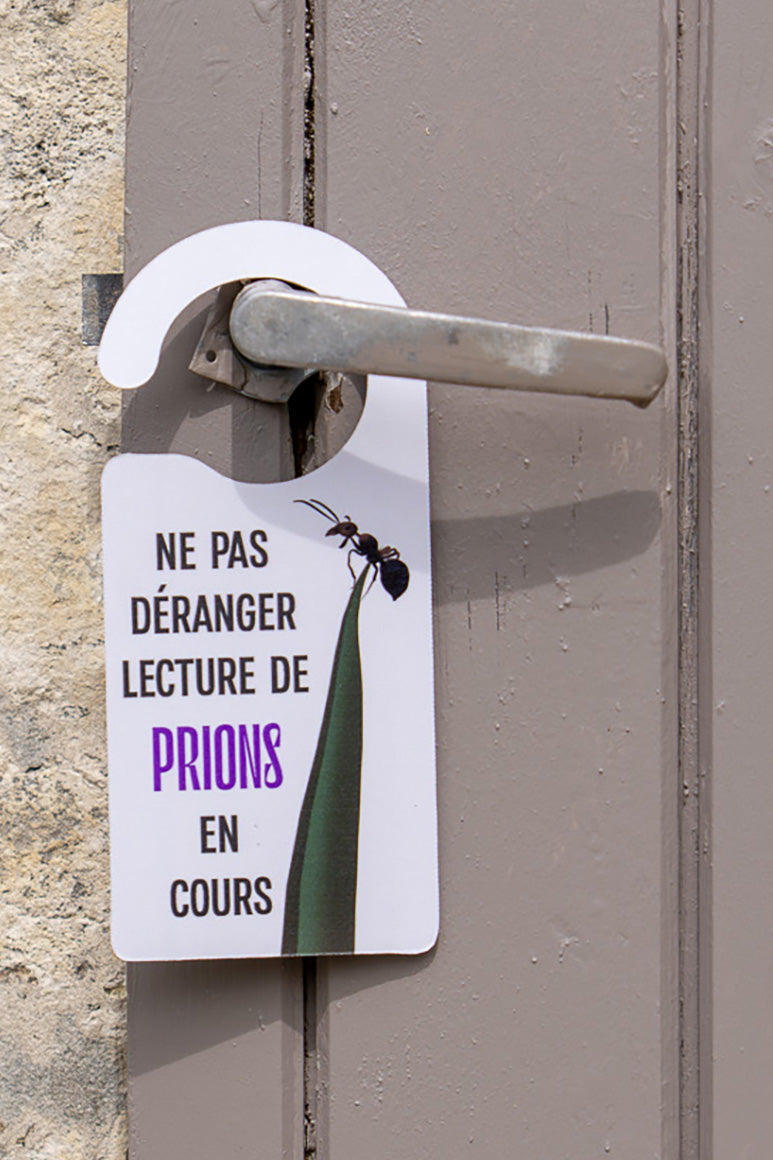 NE PAS DÉRANGER - Affichette PVC 4 mm